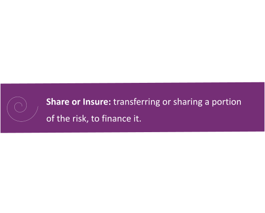Share or Insure: transferring or sharing a portion of the risk, to finance it.